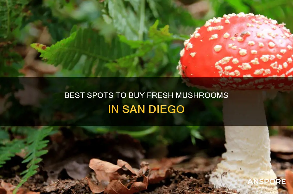where to buy mushrooms in san diego