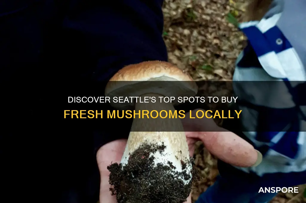 where to buy mushrooms in seattle