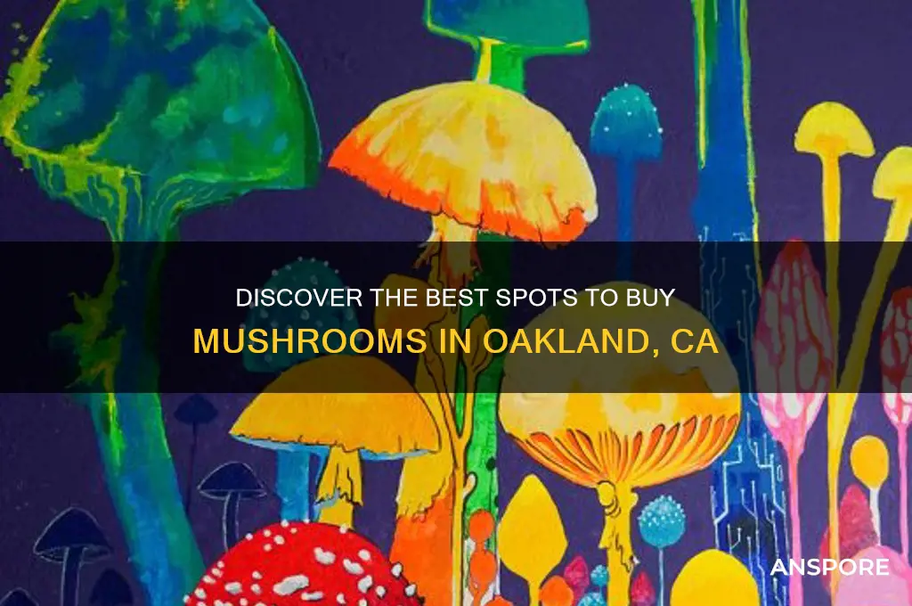 where to buy mushrooms inoaland ca