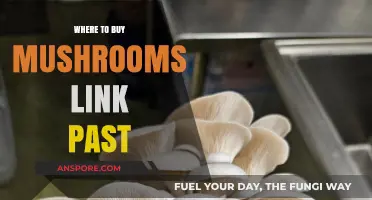 Discover the Best Places to Buy Mushrooms Link Past Online
