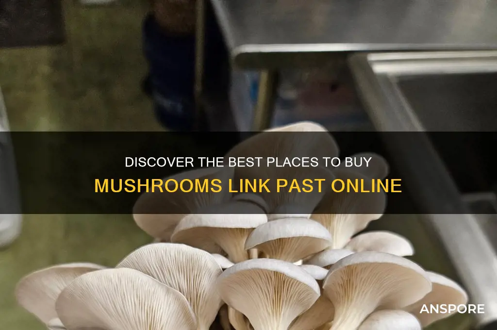 where to buy mushrooms link past