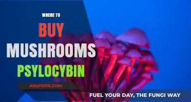 Discover Legal Sources: Where to Buy Psilocybin Mushrooms Safely
