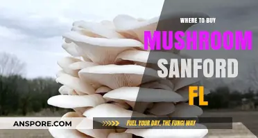 Discover the Best Spots to Buy Mushrooms in Sanford, FL