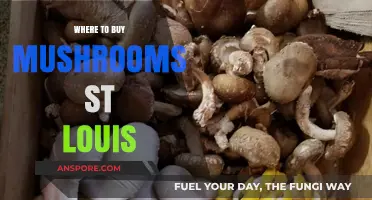 Discover Top Spots to Buy Fresh Mushrooms in St. Louis