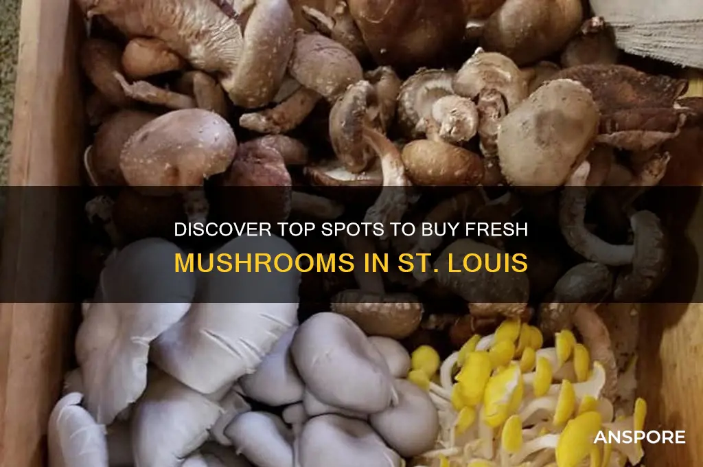 where to buy mushrooms st louis