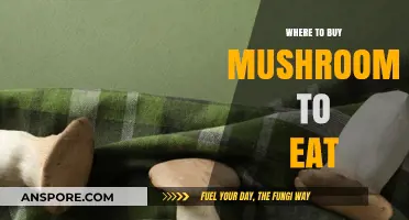 Discover the Best Places to Buy Edible Mushrooms Near You