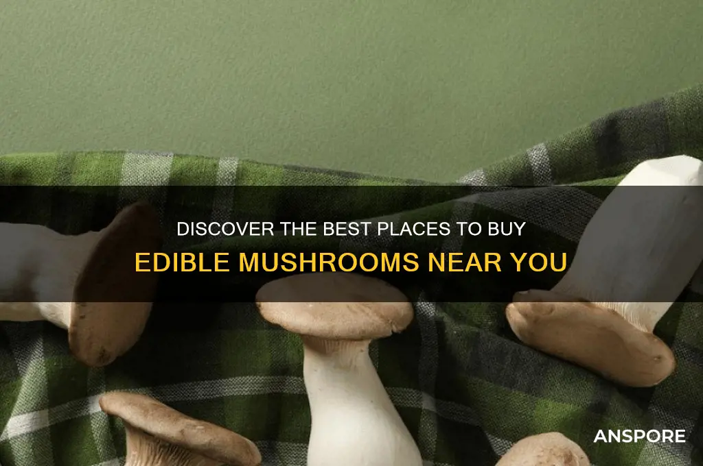 where to buy mushrooms to eat