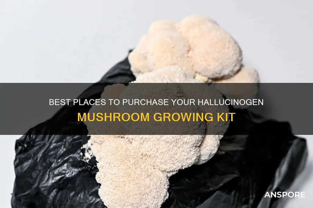 where to buy my hallucinogen mushroom kit
