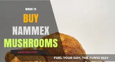 Discover the Best Places to Buy Nammex Mushrooms Online