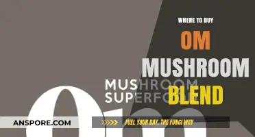 Discover Top Retailers for OM Mushroom Blend: Your Ultimate Guide