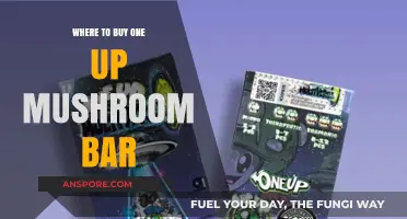 Discover the Best Places to Buy One Up Mushroom Bars Online