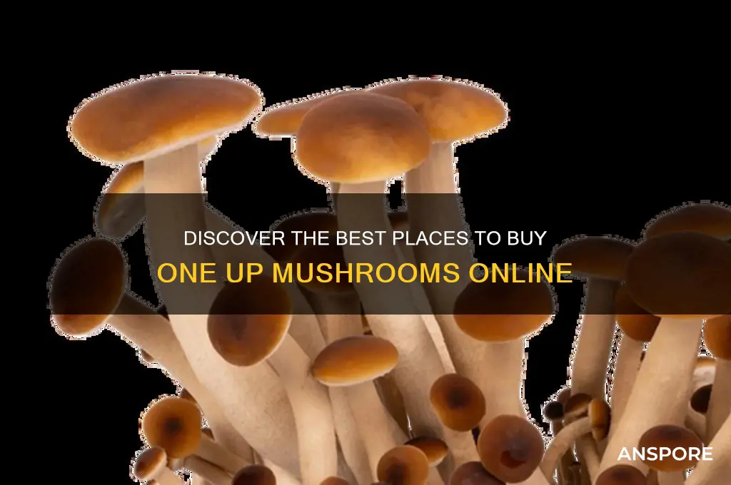 where to buy one up mushroom
