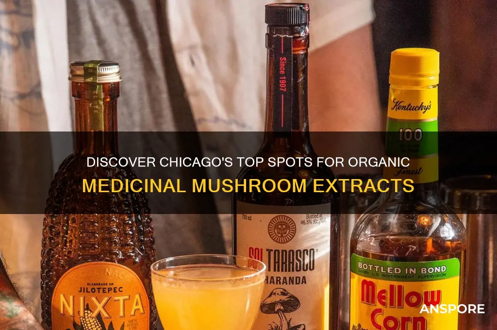 where to buy organic medicinal mushroom extracts in chicago
