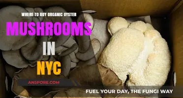 Discover NYC's Best Spots for Organic Oyster Mushrooms