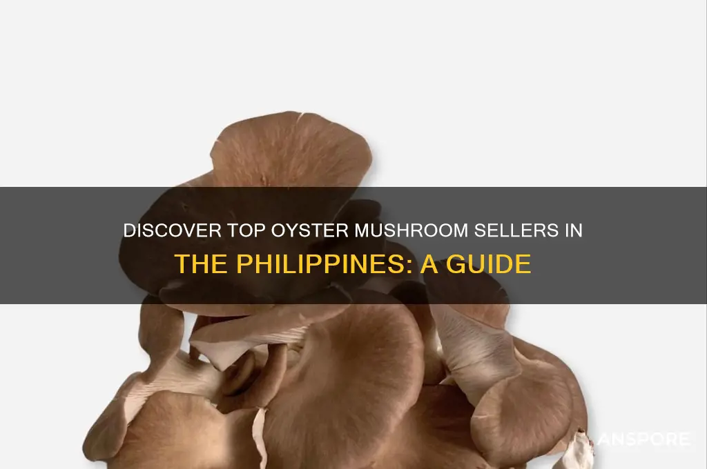 where to buy oyster mushroom in the philippines