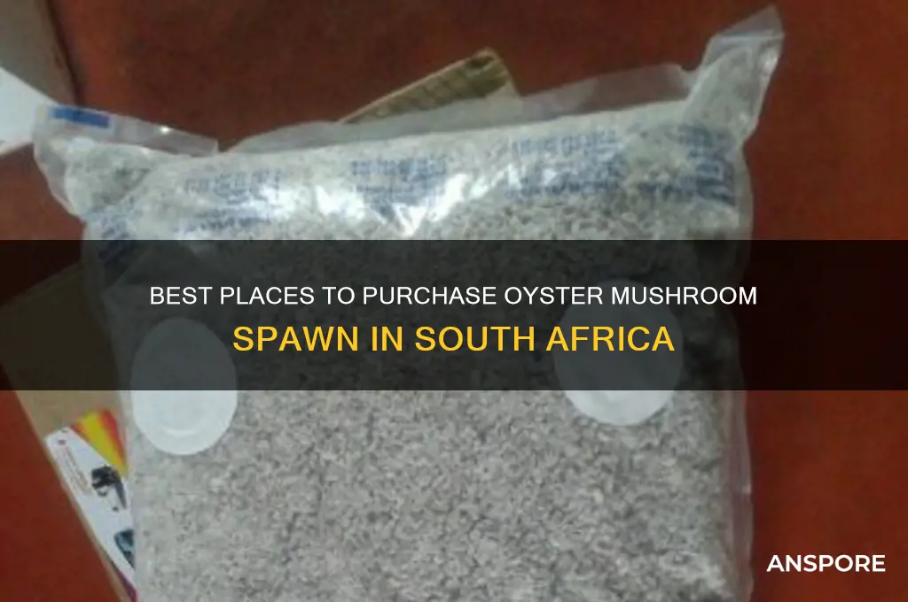 where to buy oyster mushroom spawn in south africa