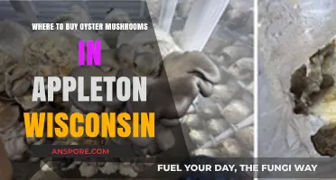 Discover Appleton's Best Spots to Buy Fresh Oyster Mushrooms