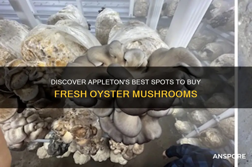 where to buy oyster mushrooms in appleton wisconsin