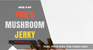 Discover the Best Places to Buy Pan's Mushroom Jerky Online