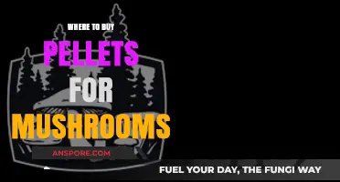 Best Places to Purchase High-Quality Mushroom Pellets for Cultivation