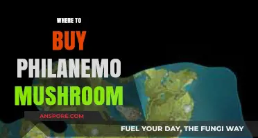Discover the Best Places to Buy Philanemo Mushrooms Online