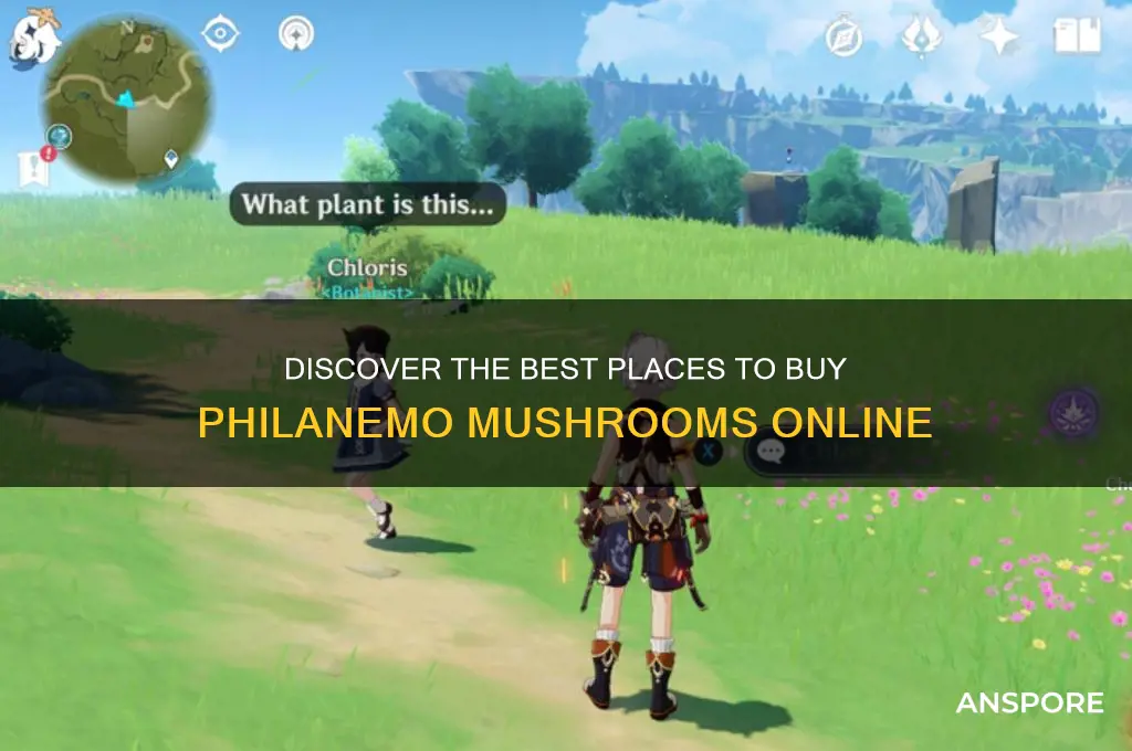 where to buy philanemo mushroom