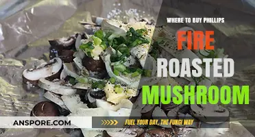 Discover the Best Places to Buy Phillips Fire Roasted Mushrooms