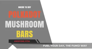 Discover Top Retailers for Polkadot Mushroom Bars: A Buyer's Guide