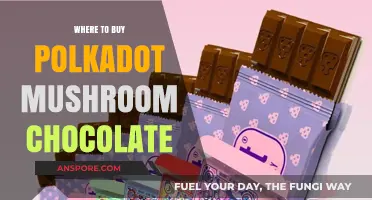 Discover Top Retailers for Polkadot Mushroom Chocolate Bars Online