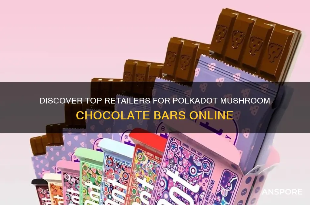 where to buy polkadot mushroom chocolate