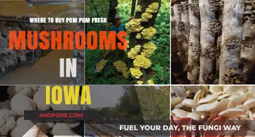 Discover Iowa's Best Spots to Buy Fresh Pom Pom Mushrooms