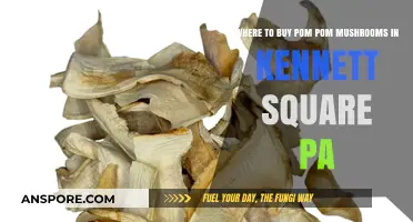 Discover Kennett Square's Best Spots for Pom Pom Mushrooms