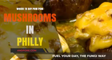 Discover Philly's Best Spots to Buy Pom Pom Mushrooms