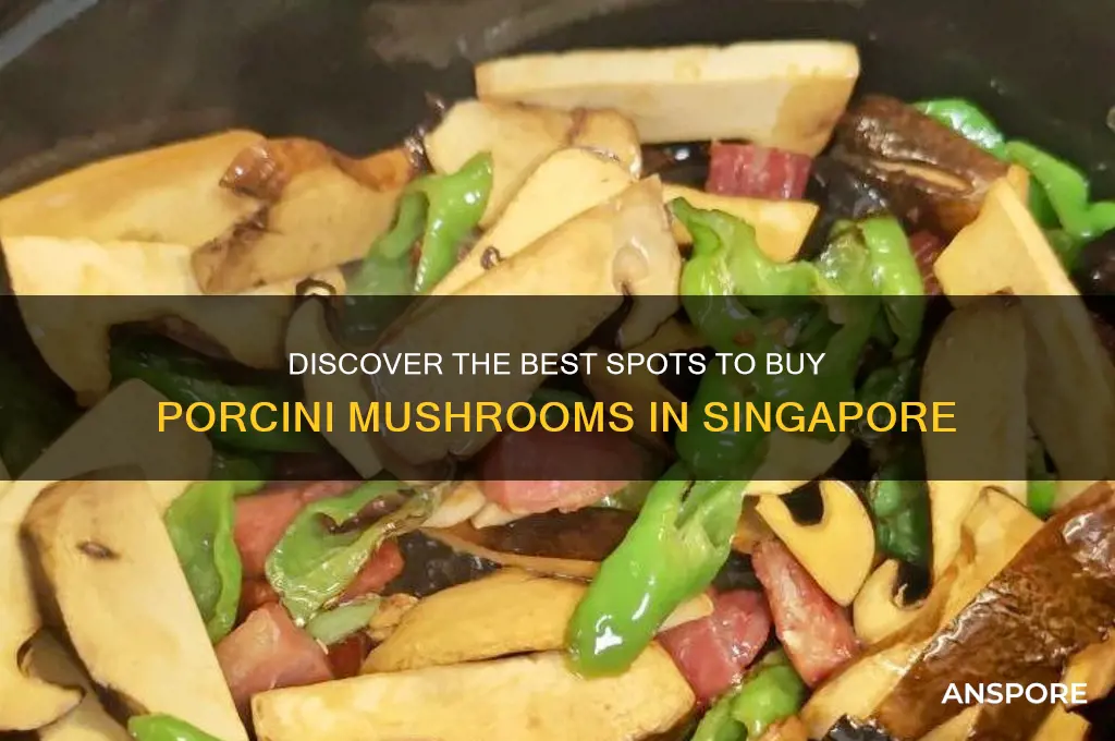 where to buy porcini mushroom in singapore