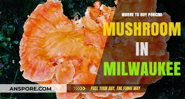 Discover Milwaukee's Best Spots to Buy Fresh Porcini Mushrooms