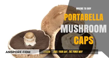 Best Places to Buy Fresh Portabella Mushroom Caps Locally & Online