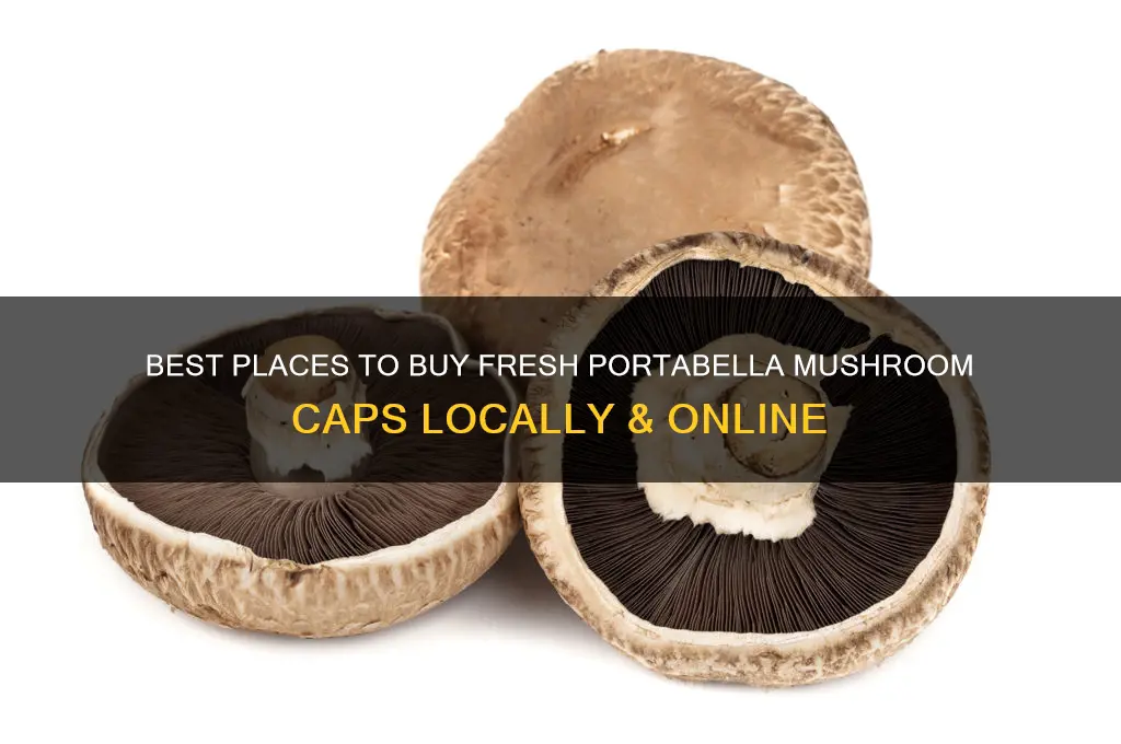 where to buy portabella mushroom caps