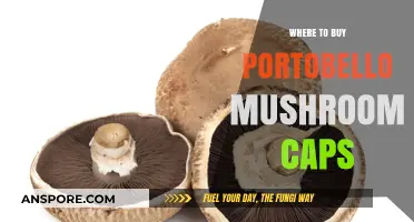 Best Places to Buy Portobello Mushroom Caps for Cooking