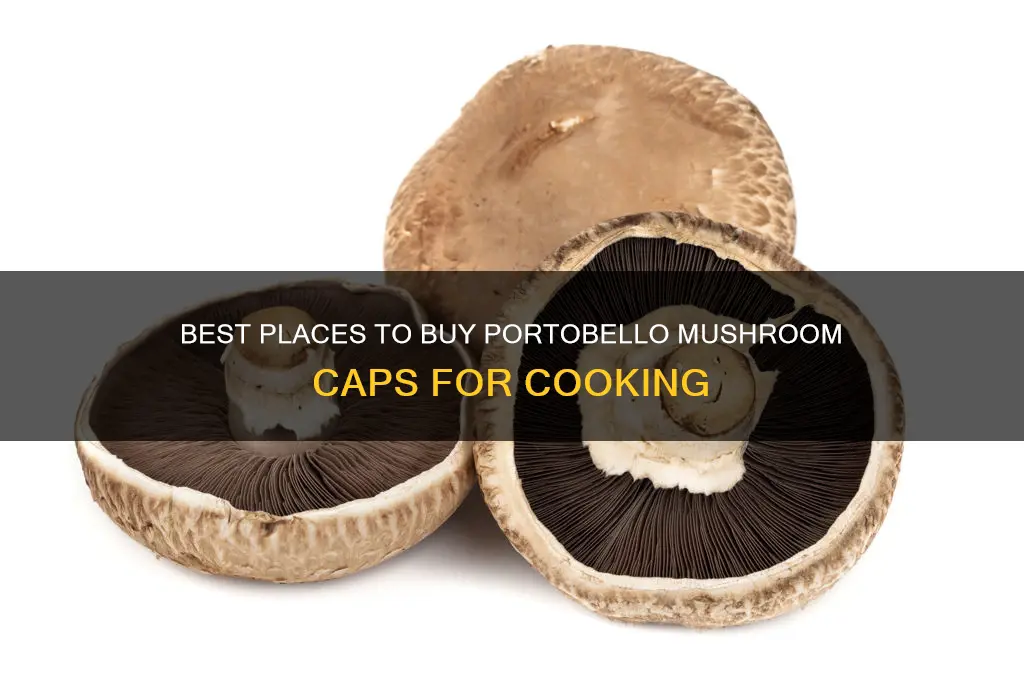 where to buy portobello mushroom caps