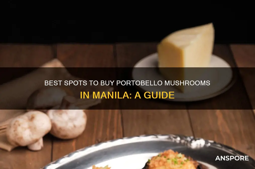 where to buy portobello mushroom in manila