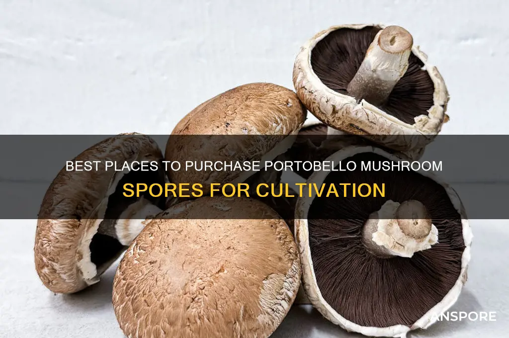 where to buy portobello mushroom spores