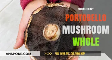 Where to Buy Whole Portobello Mushrooms: Top Retailers and Tips