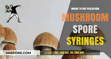 Where to Buy Psilocybin Mushroom Spore Syringes: A Comprehensive Guide