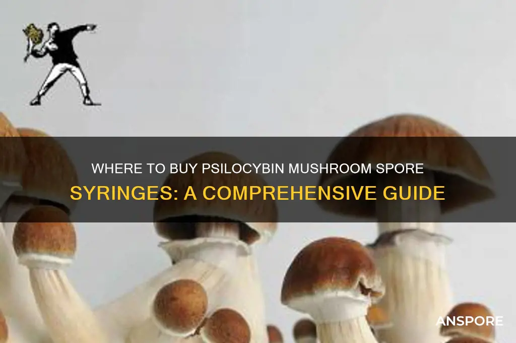 where to buy psilocybin mushroom spore syringes