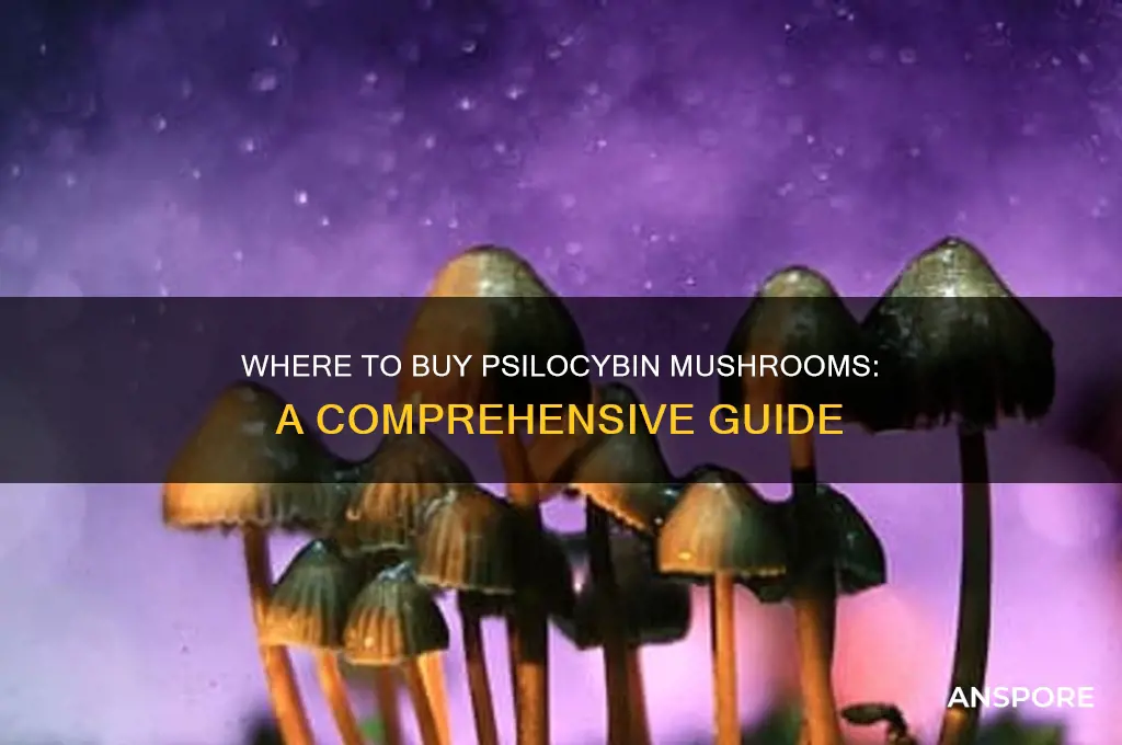 where to buy psilocybin mushroom