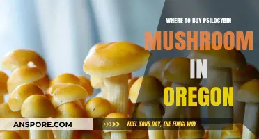 Oregon's Legal Psilocybin Mushroom Sources: A Comprehensive Guide