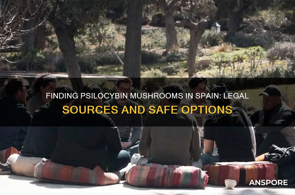 where to buy psilocybin mushrooms in spain