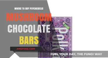 Discover Top Sources for Psychedelic Mushroom Chocolate Bars Online