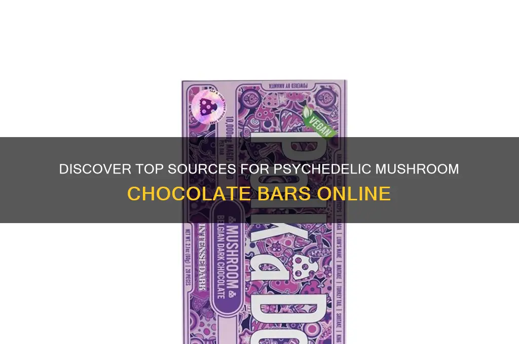 where to buy psychedelic mushroom chocolate bars