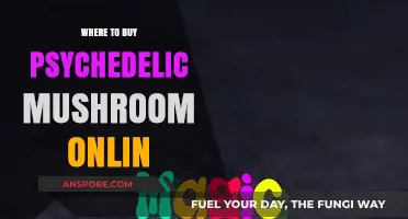 Discover Trusted Sources to Buy Psychedelic Mushrooms Online Safely